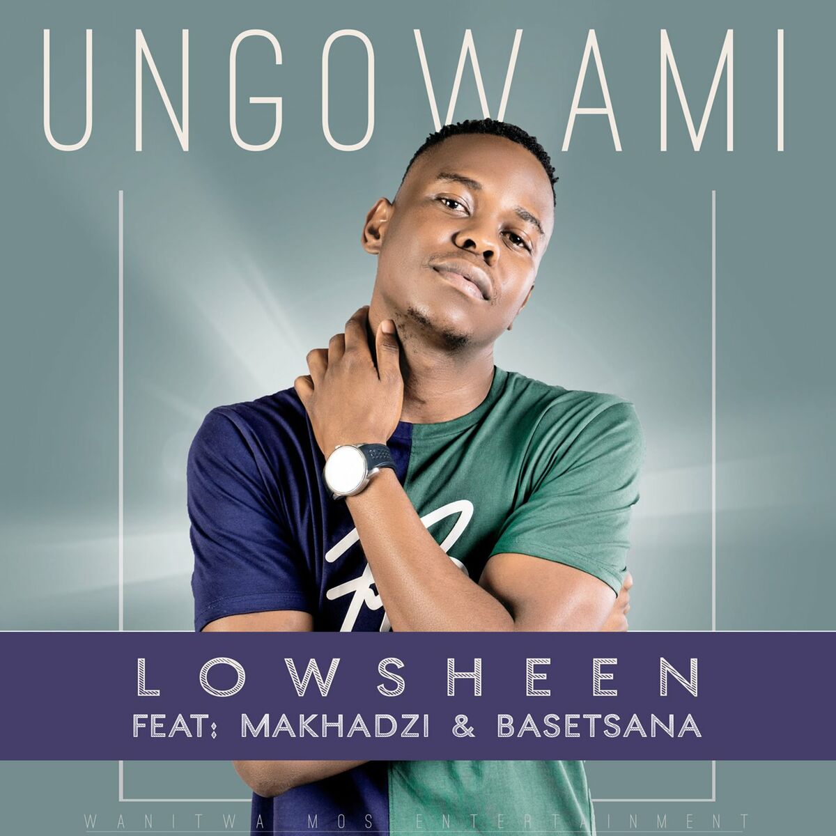 Album cover of Ungowami