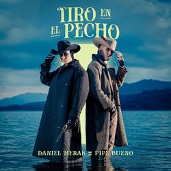 Cover of Tiro en el pecho