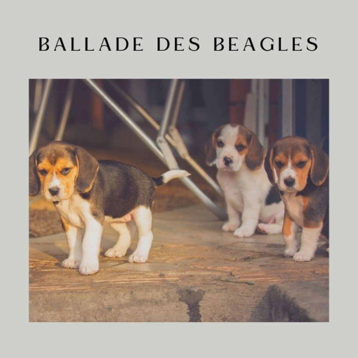 Album cover of Ballade des Beagles