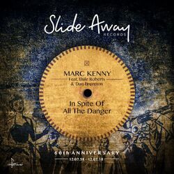 Cover of In Spite of All the Danger