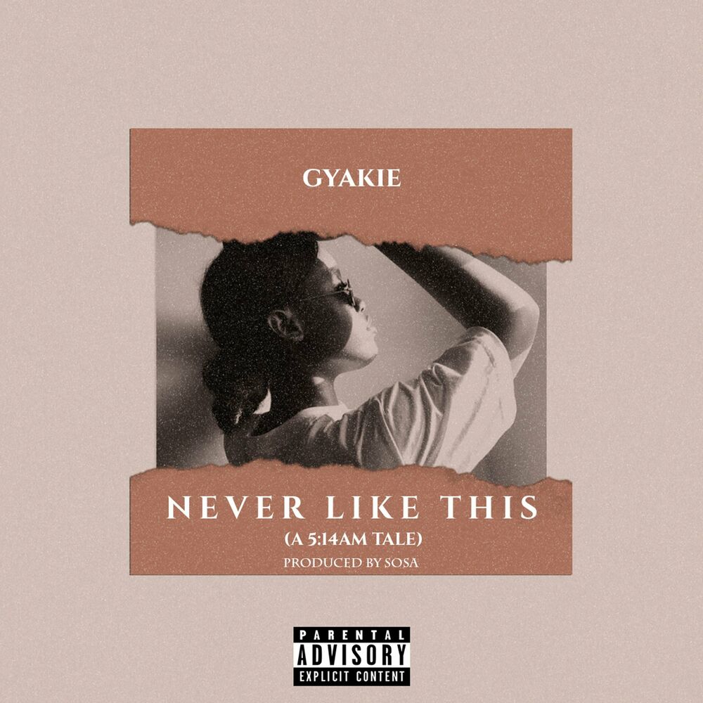 Picture of Never Like This
