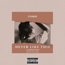 Cover of Never Like This