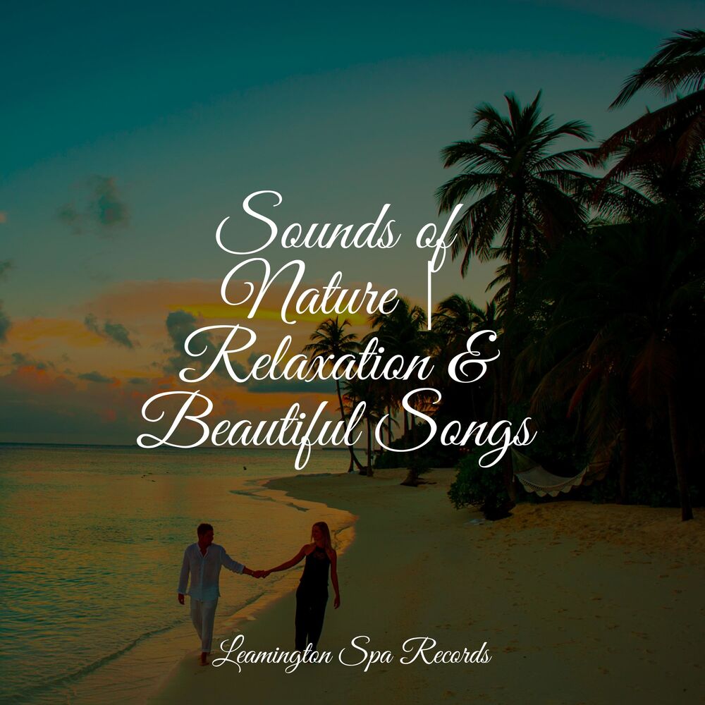 Picture of Sounds of Nature | Relaxation & Beautiful Songs