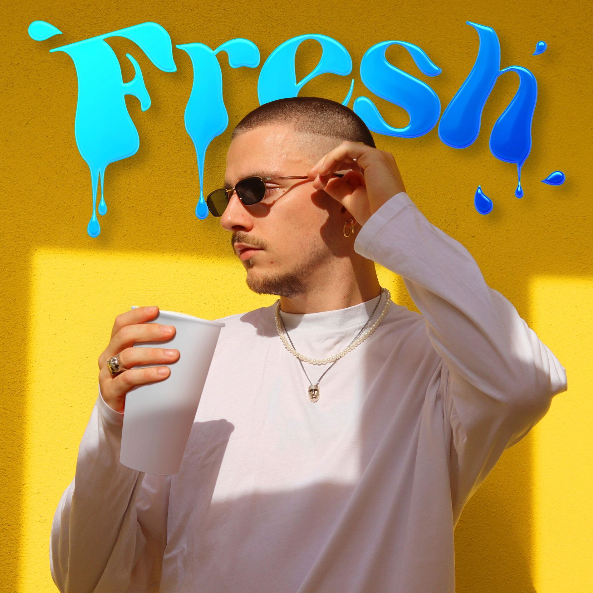Album cover of Fresh