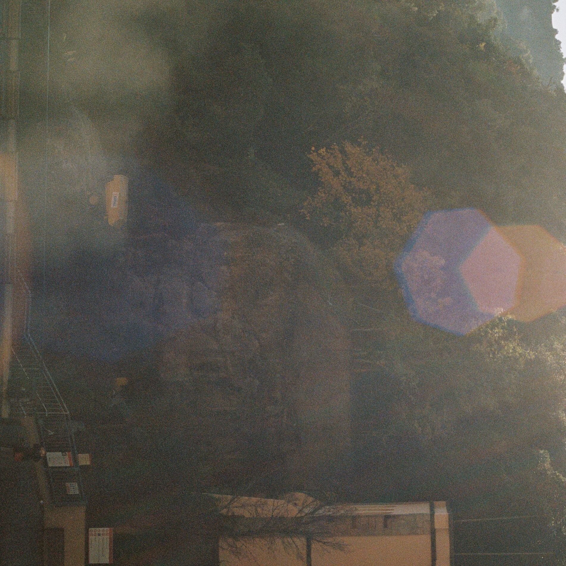 Album cover of Motion