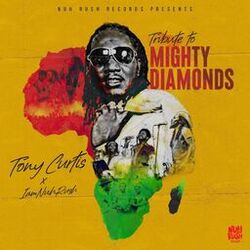 Cover of Tribute To Mighty Diamonds