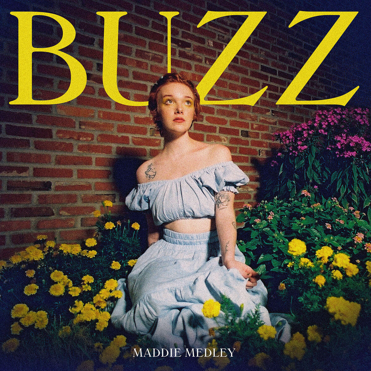 Album cover of Buzz