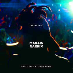 Cover of Can't Feel My Face (Martin Garrix Remix)