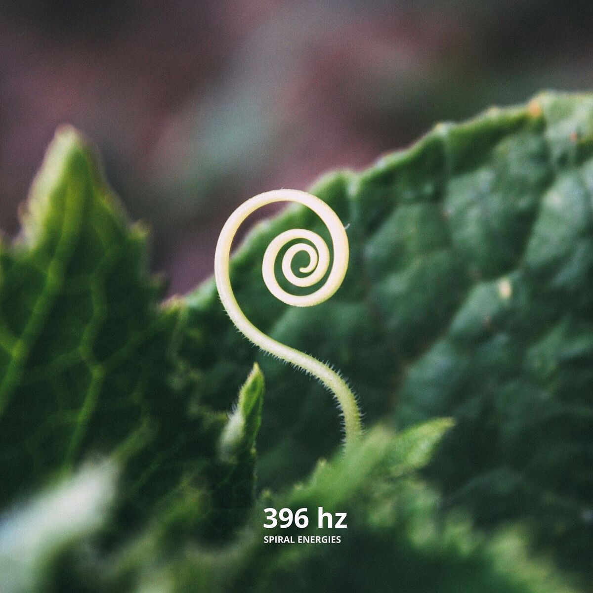 Album cover of 396 Hz Spiral Energies