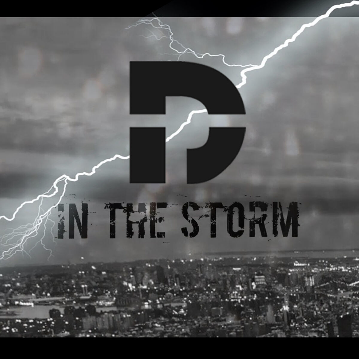 Album cover of In the Storm