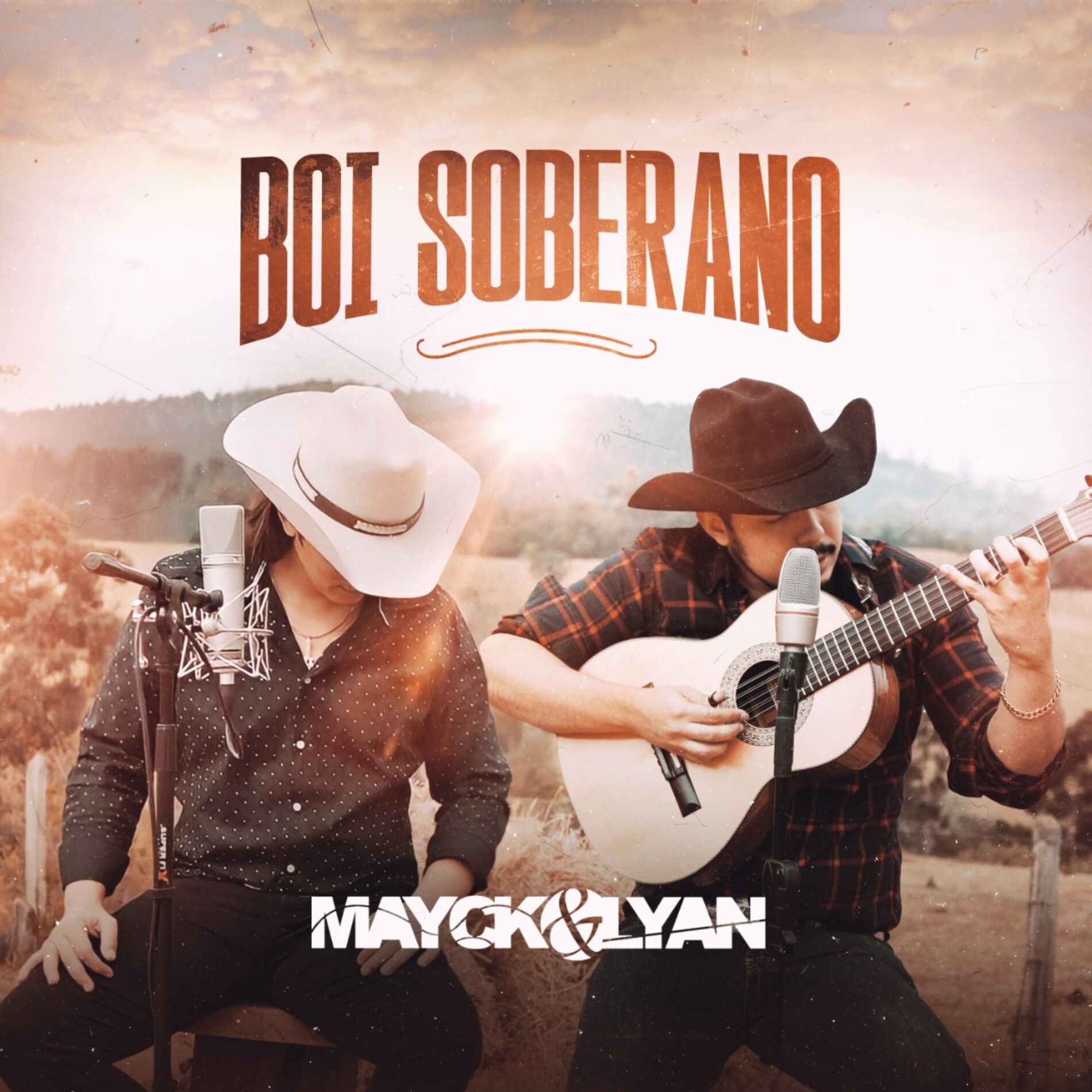 Album cover of Boi Soberano