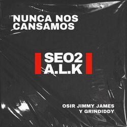 Cover of Nunca Nos Cansamos