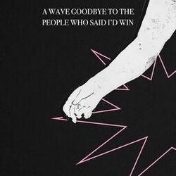 A Wave Goodbye To The People Who Said I'd Win