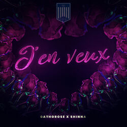 Cover of J'en Veux