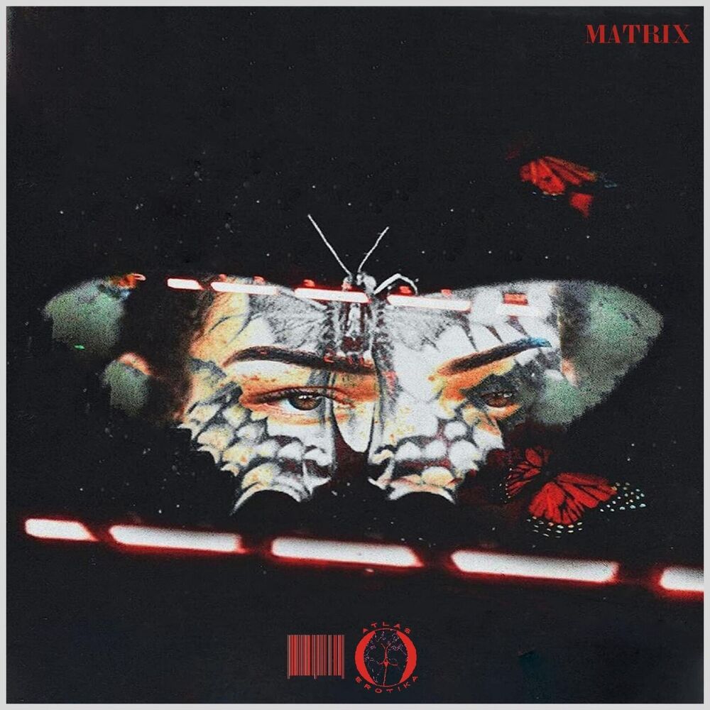Picture of Matrix
