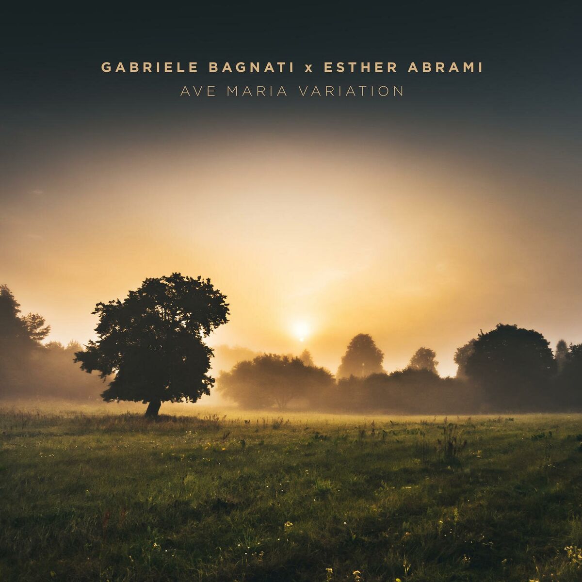 Album cover of Ave Maria Variation (From Méditation sur le Premier Prélude de Piano de Bach, CG 89, Arr. for Piano and Violin by Svetoslav Karpar