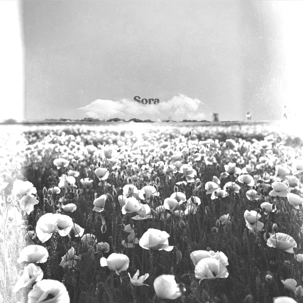 Album cover of Sora