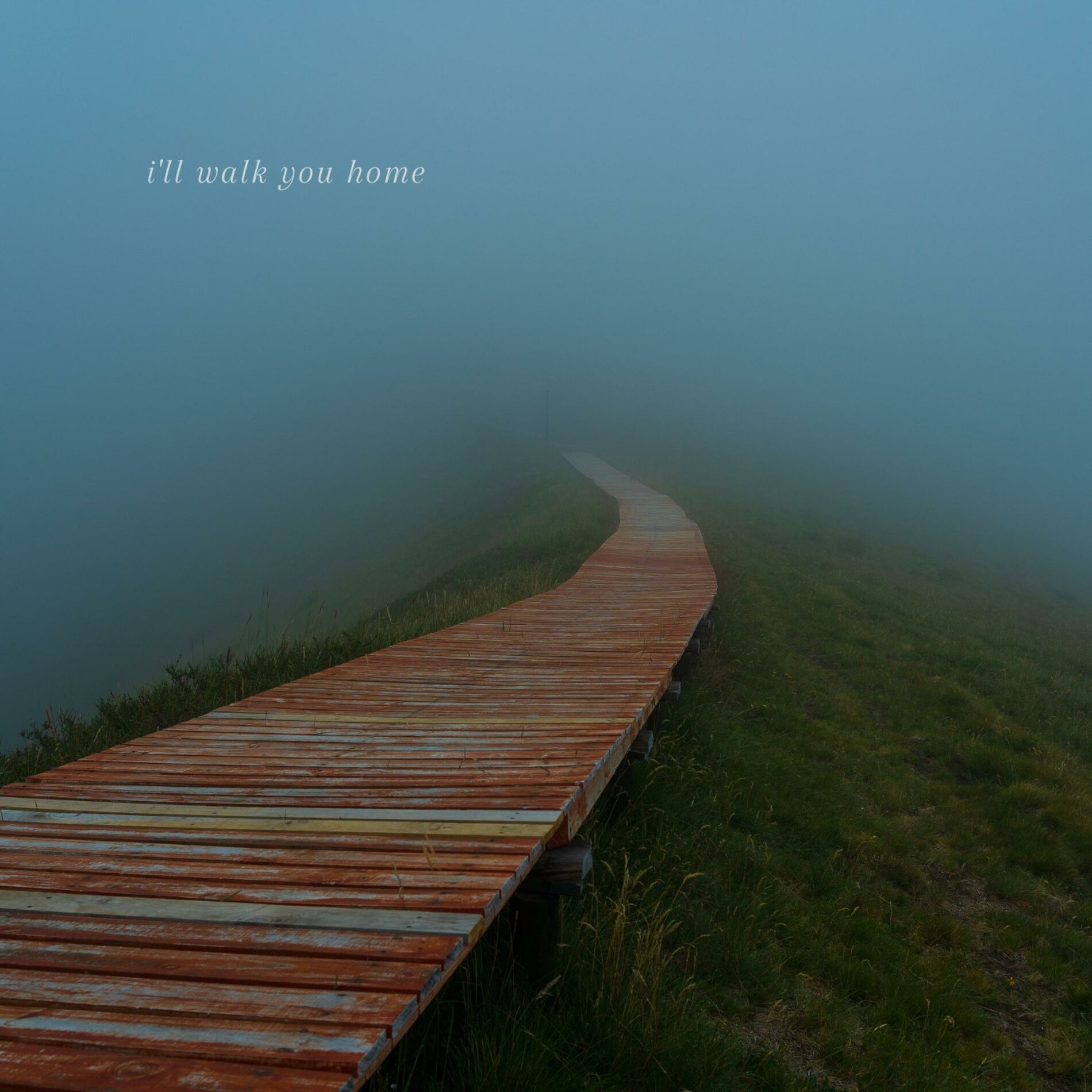 Album cover of I'll Walk You Home