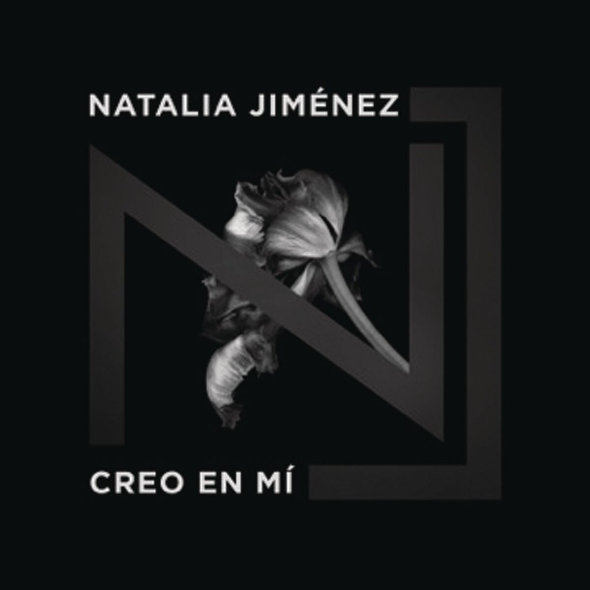 Album cover of Creo en Mi