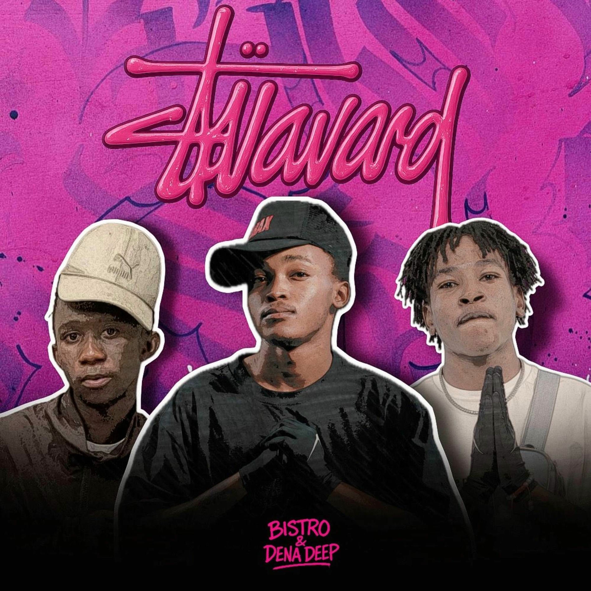 Album cover of Bailarvard