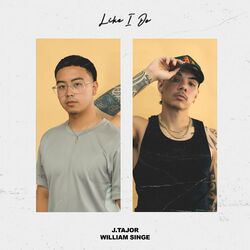 Cover of Like I Do (with William Singe)