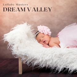 Cover of Dream Valley: Lullabies Infant by undefined