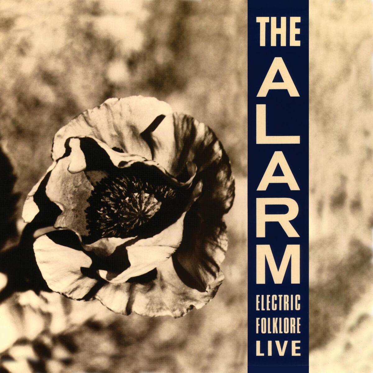 Album cover of Rescue Me