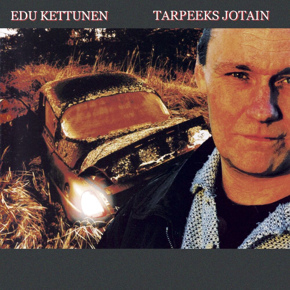 Picture of Tarpeeks jotain