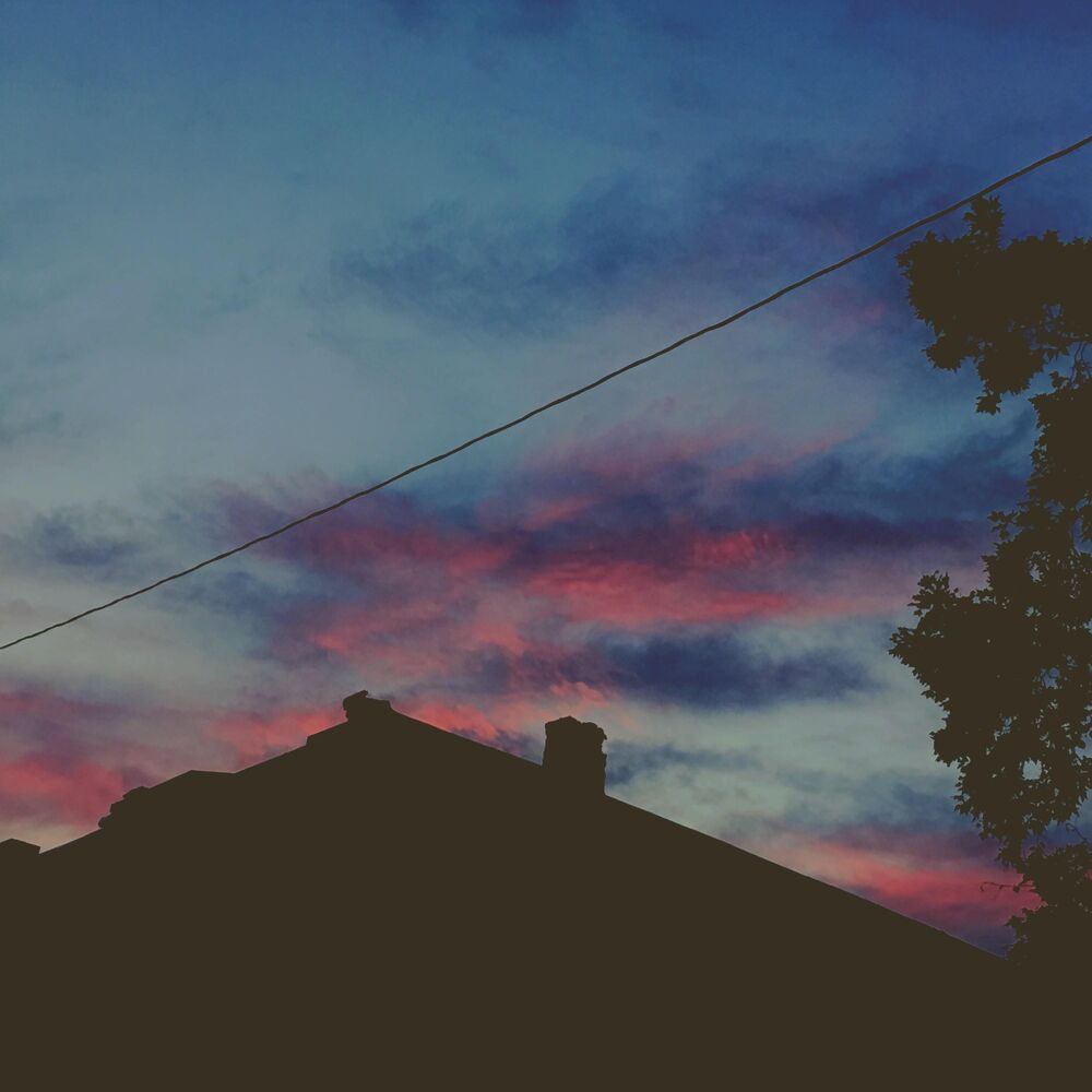 Picture of Lilac*