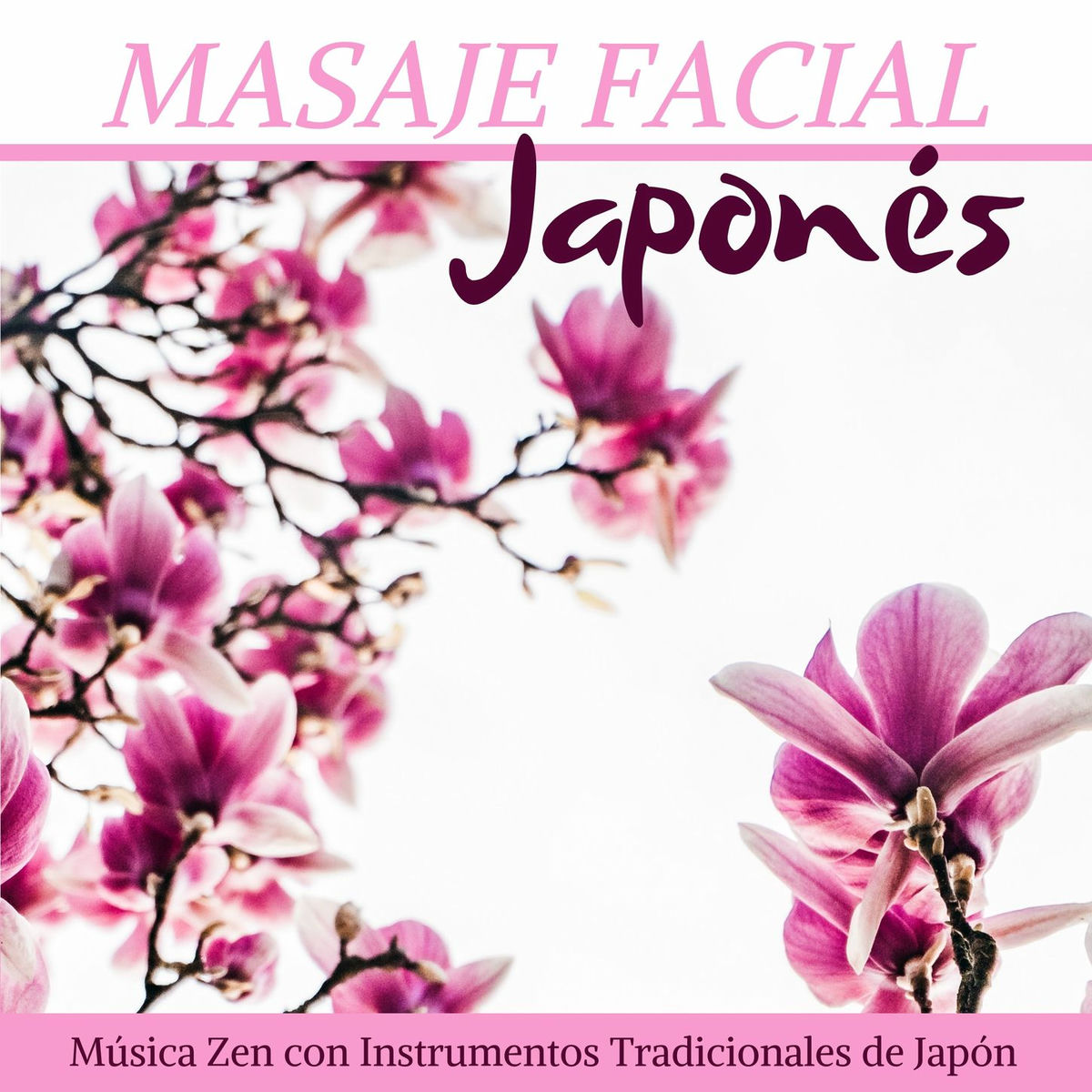 Album cover of Paz de Espíritu