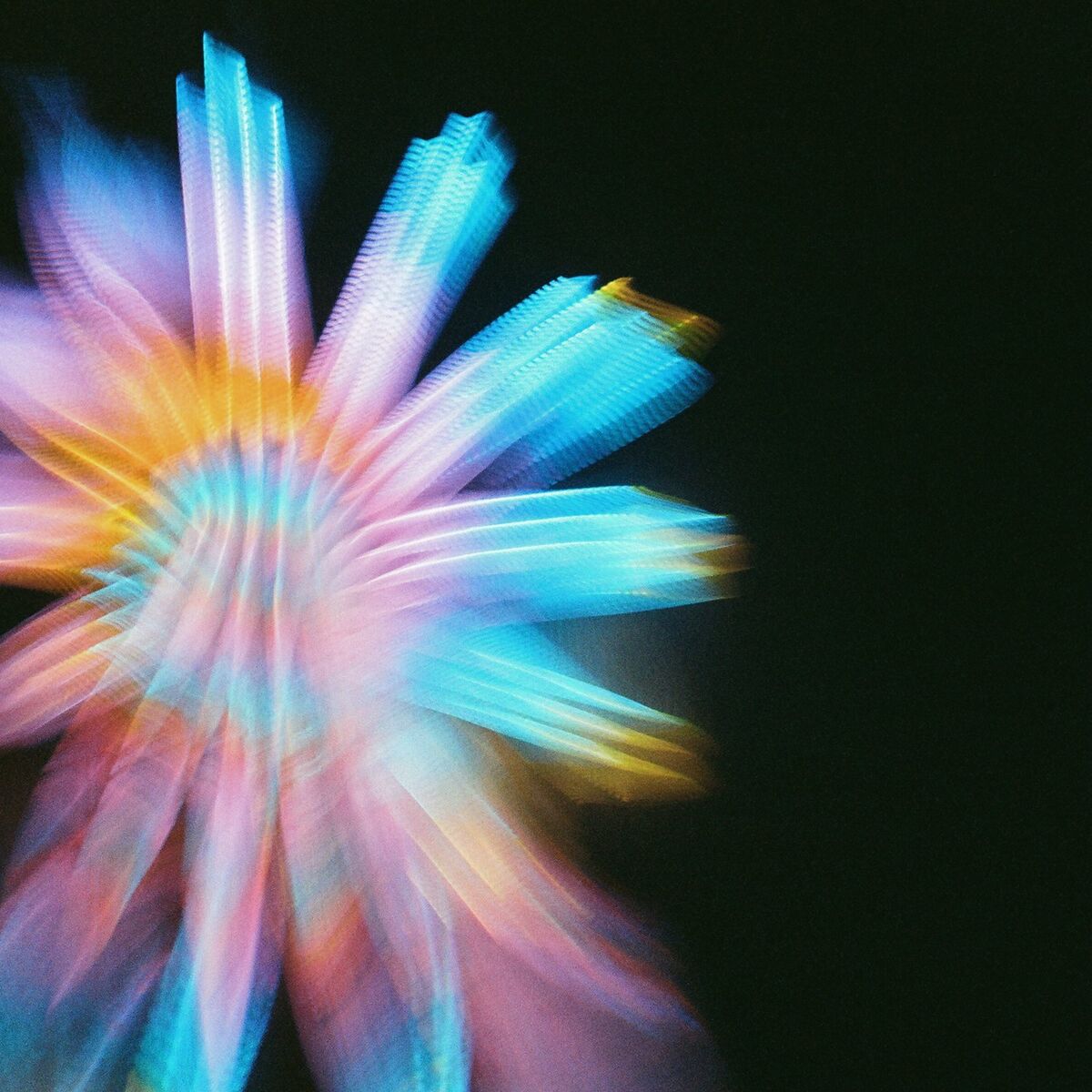 Album cover of Without