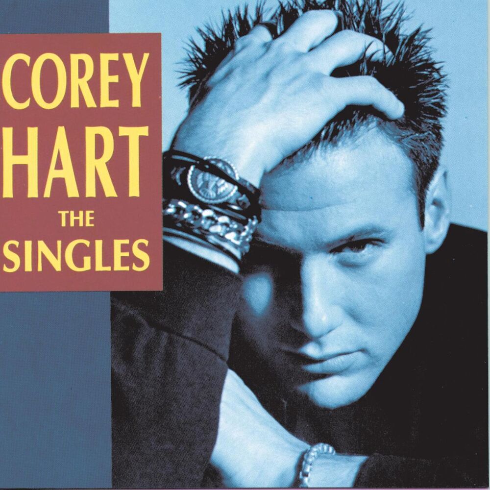 Picture of The Singles