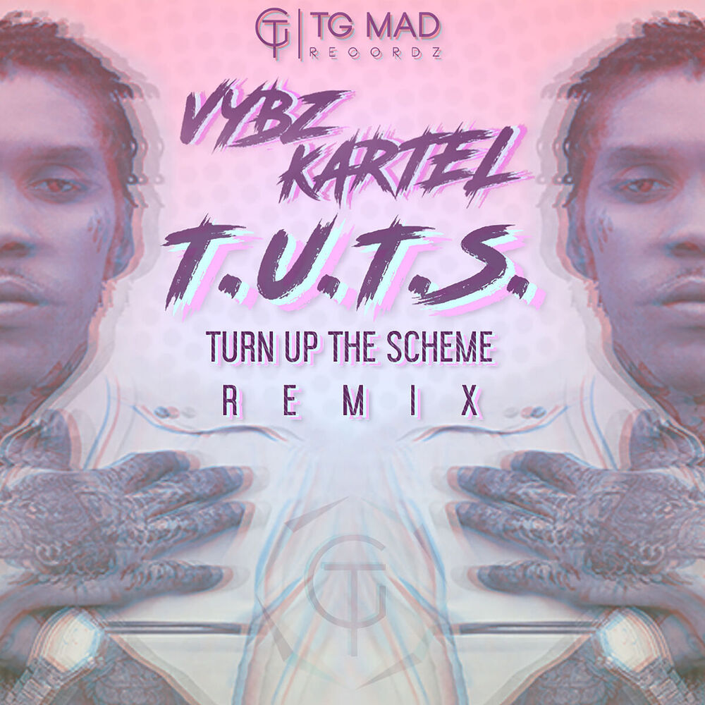 Picture of T.U.T.S. (Turn up the Scheme Remix)
