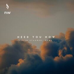 Cover of Need You Now