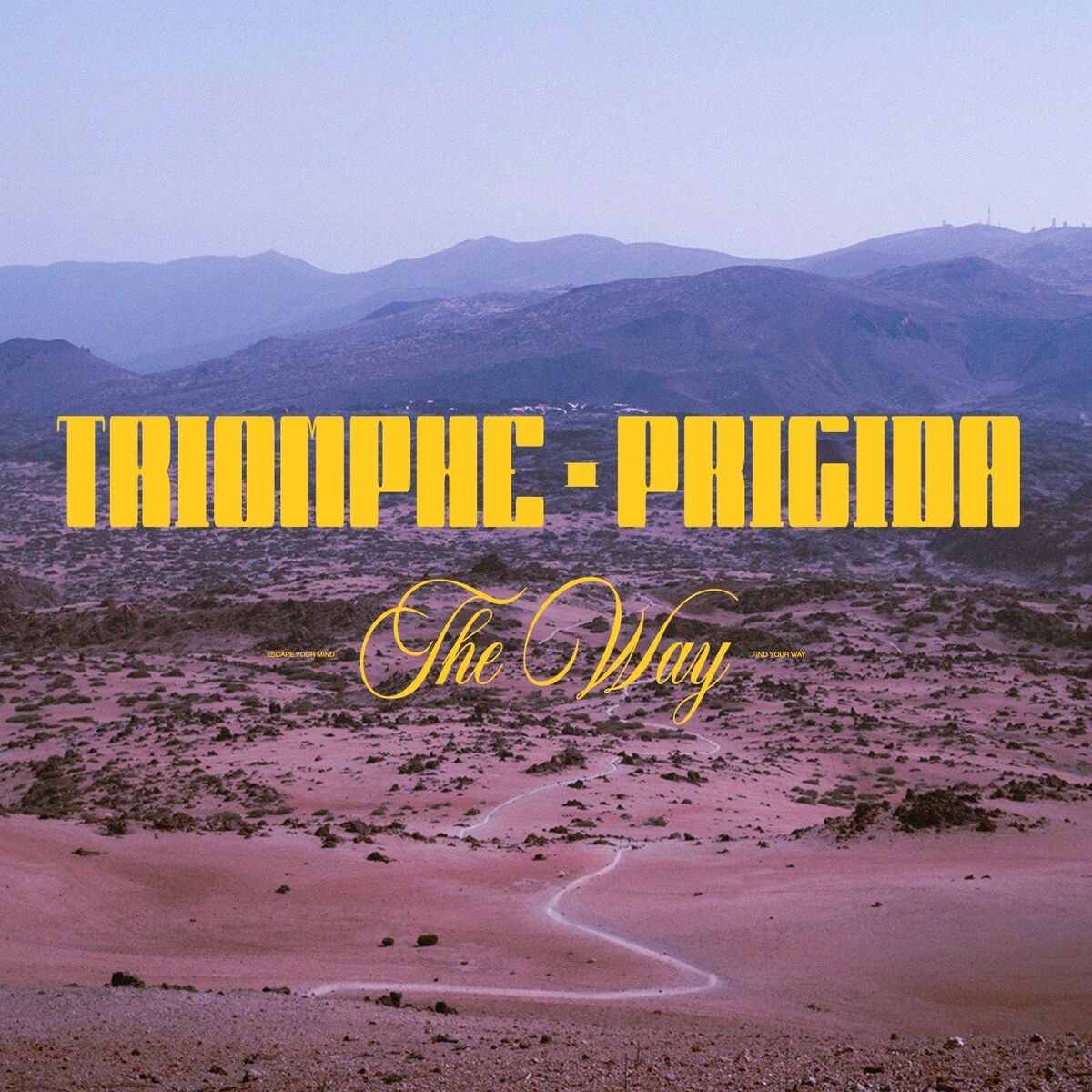Album cover of The Way