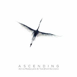 Cover of ASCENDING