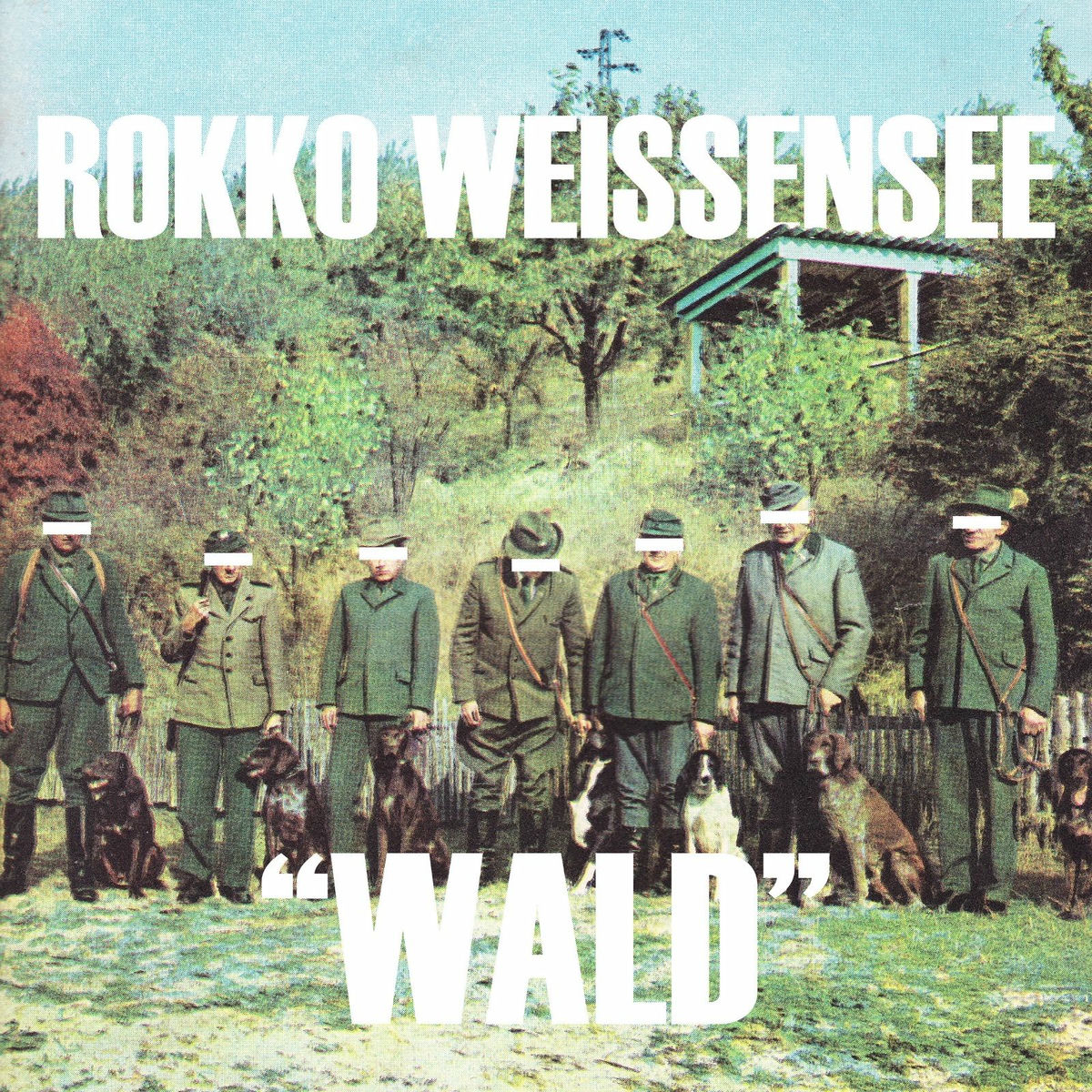 Album cover of Wald