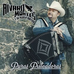 Cover of Puras Pisteadoras