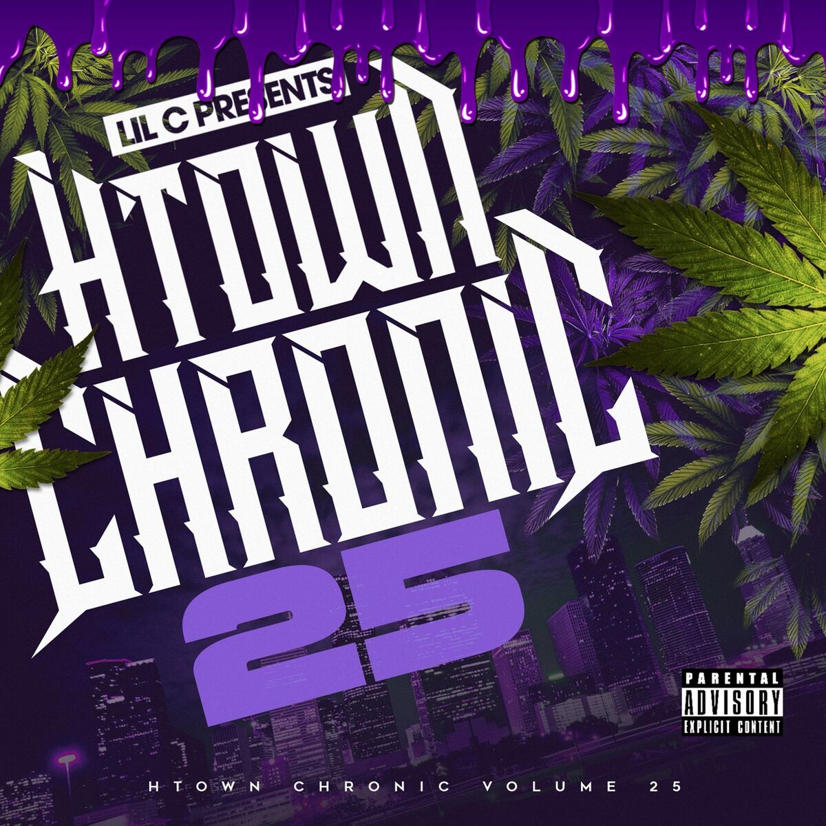 Album cover of H-Town Chronic 25