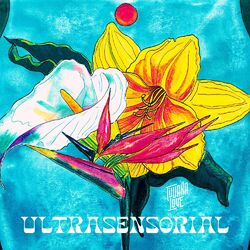 Cover of Ultrasensorial