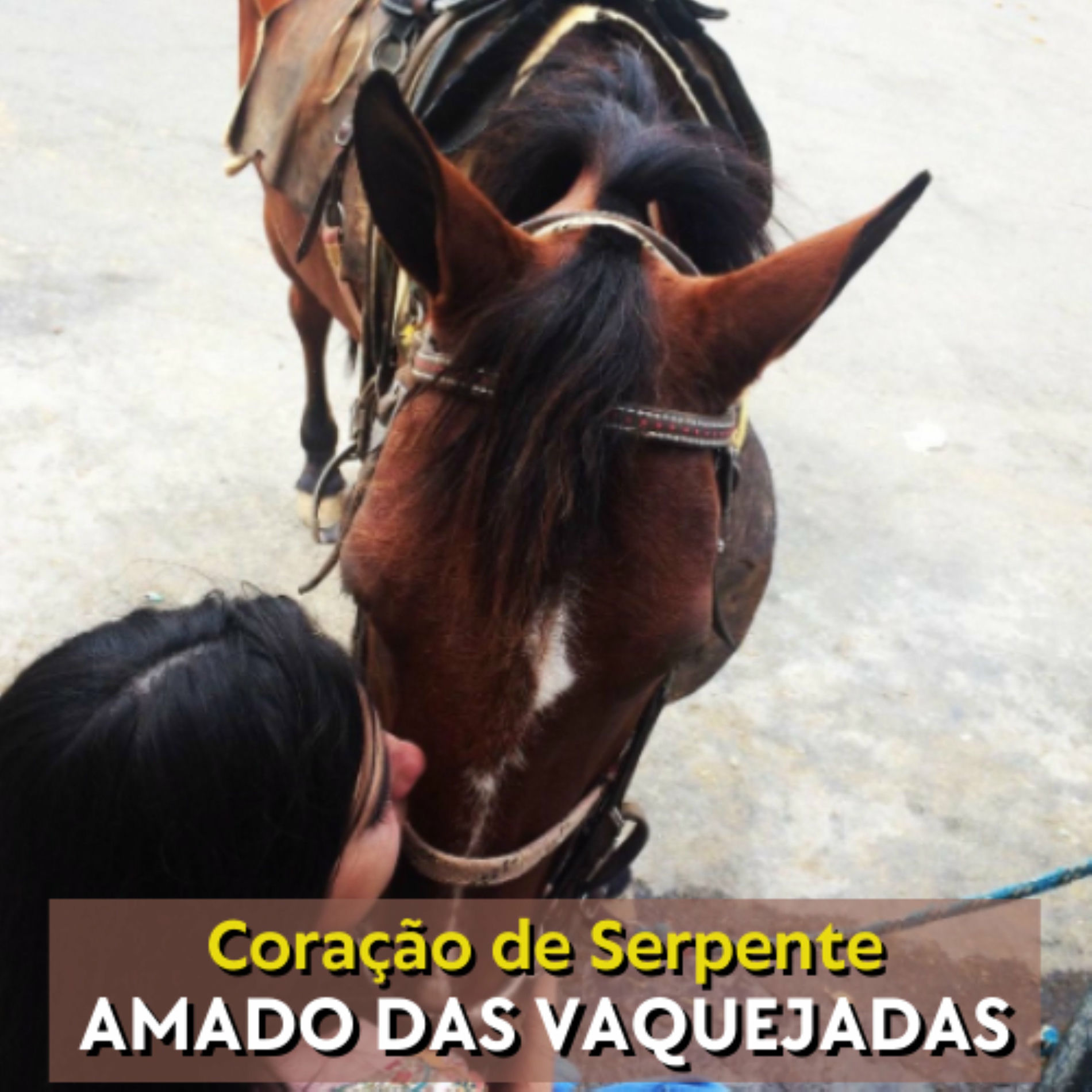 Album cover of Coração de Serpente