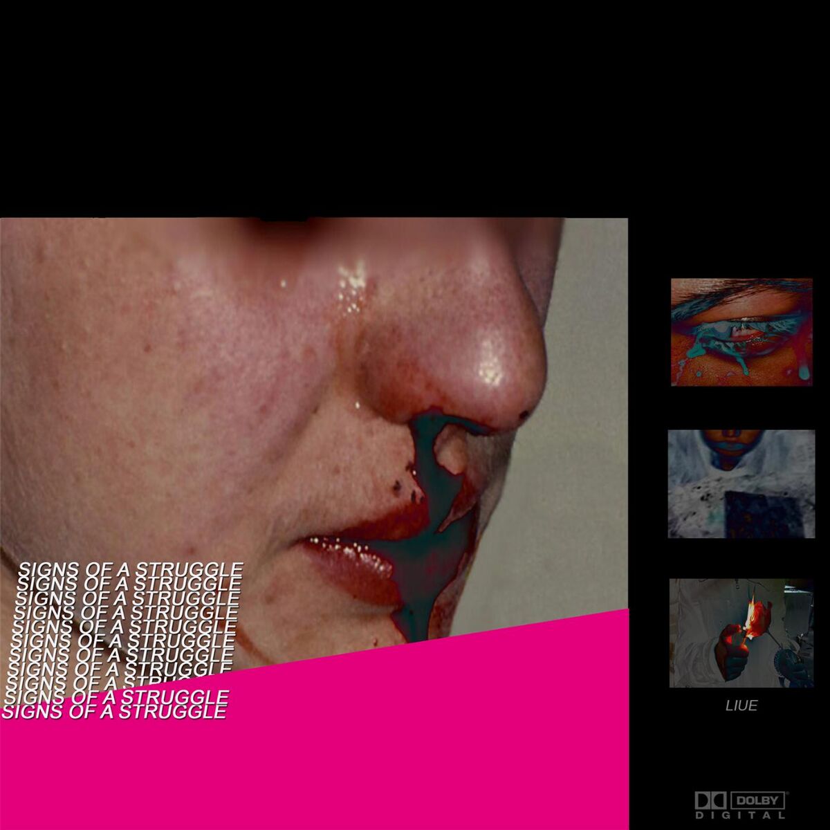 Album cover of Signs of a Struggle