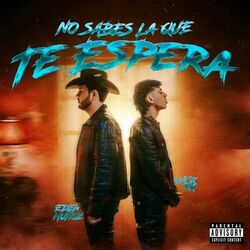 Cover of No Sabes La Que Te Espera