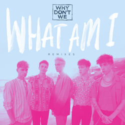 Cover of What Am I (Remixes)