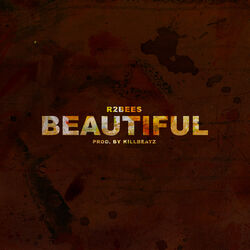 Cover of Beautiful