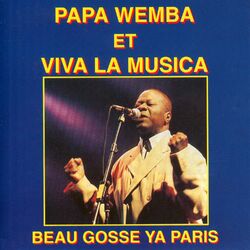 Cover of Beau gosse ya Paris