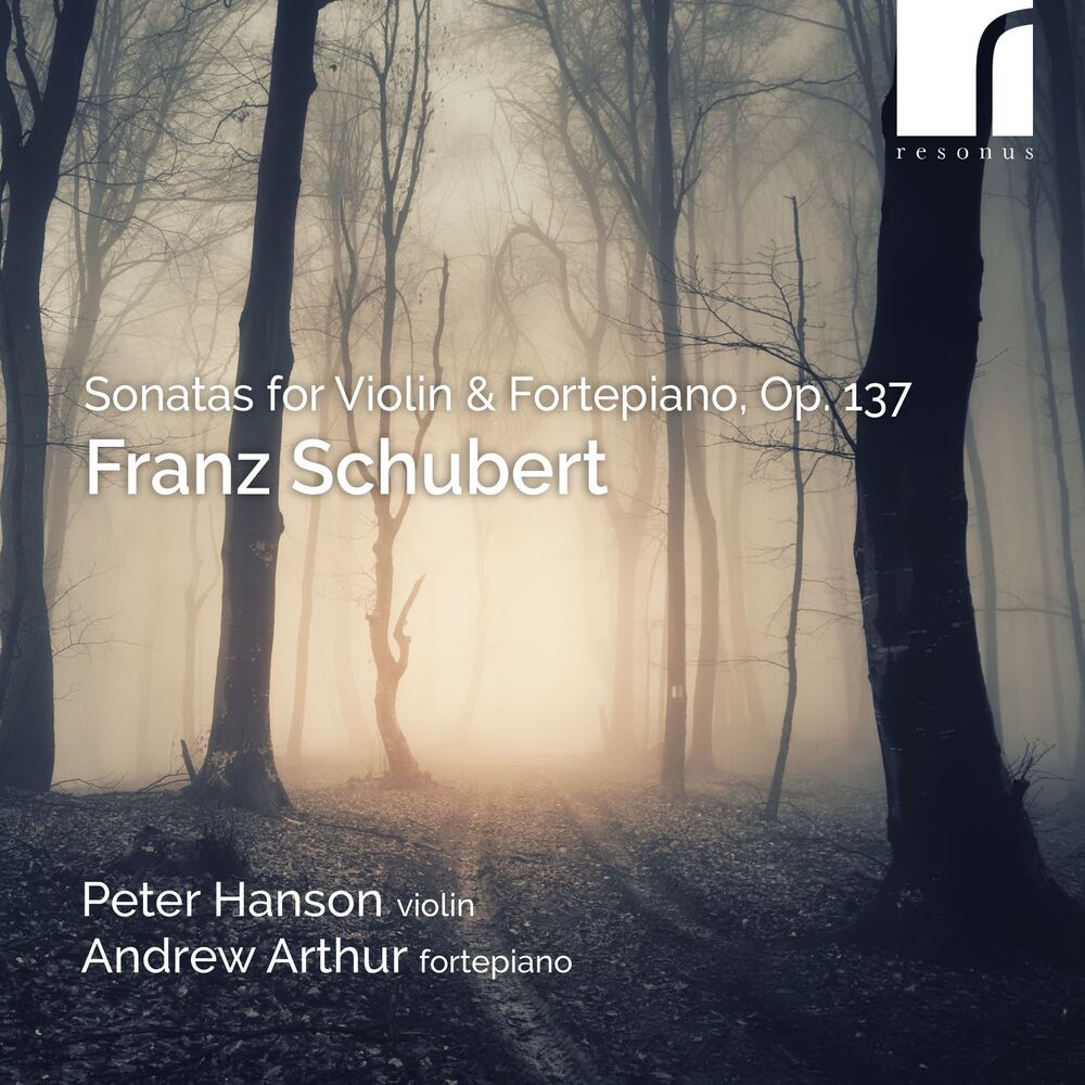 Picture of Violin Sonata No. 1 in D Major, D. 384: I. Allegro molto