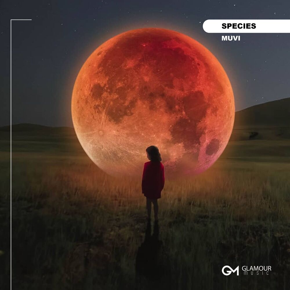 Picture of Species