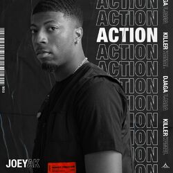 Cover of Action