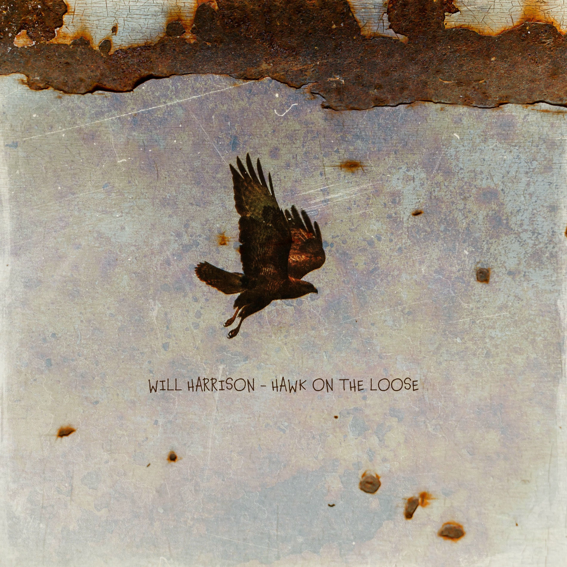 Album cover of Hawk on the Loose